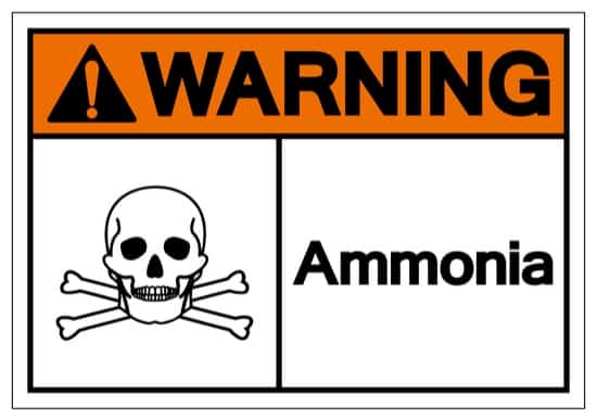 can ammonia kill you